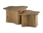 Abeford Accent Coffee Table (Set of 2)