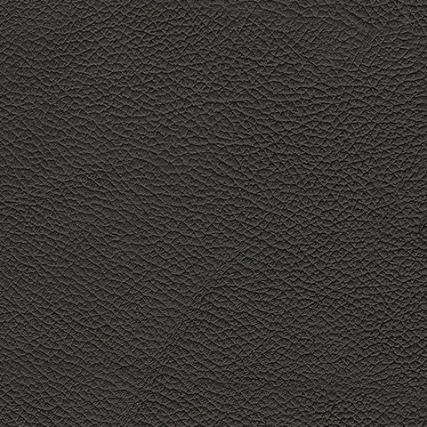 5Z-Comfort Onyx Power Reclining Sofa