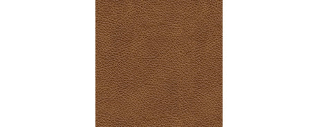 Carianna Sofa and Loveseat