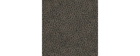 Camera Time Recliner