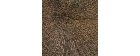 Cammund Accent Table (Set of 2)