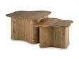Abeford Accent Coffee Table (Set of 2)