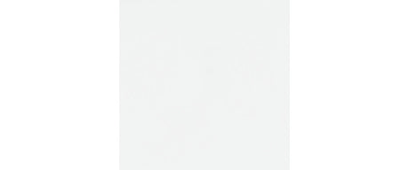 Bostwick Shoals Queen Panel Bed