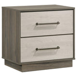Fenwick Gray Oak 2-Drawer Nightstand