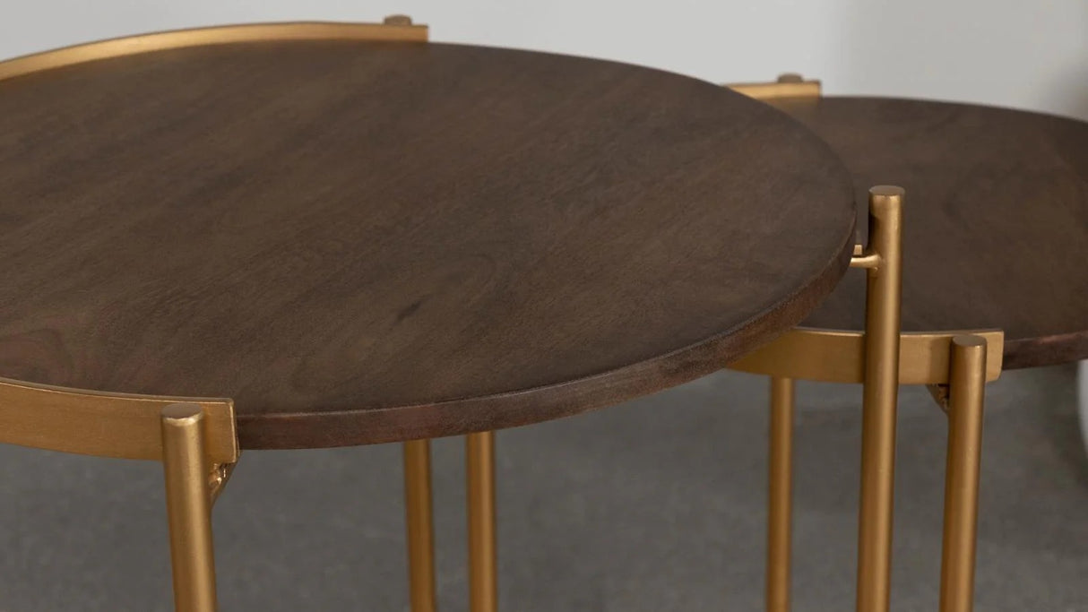 Malka Dark Brown and Gold 2-Piece Round Nesting Table