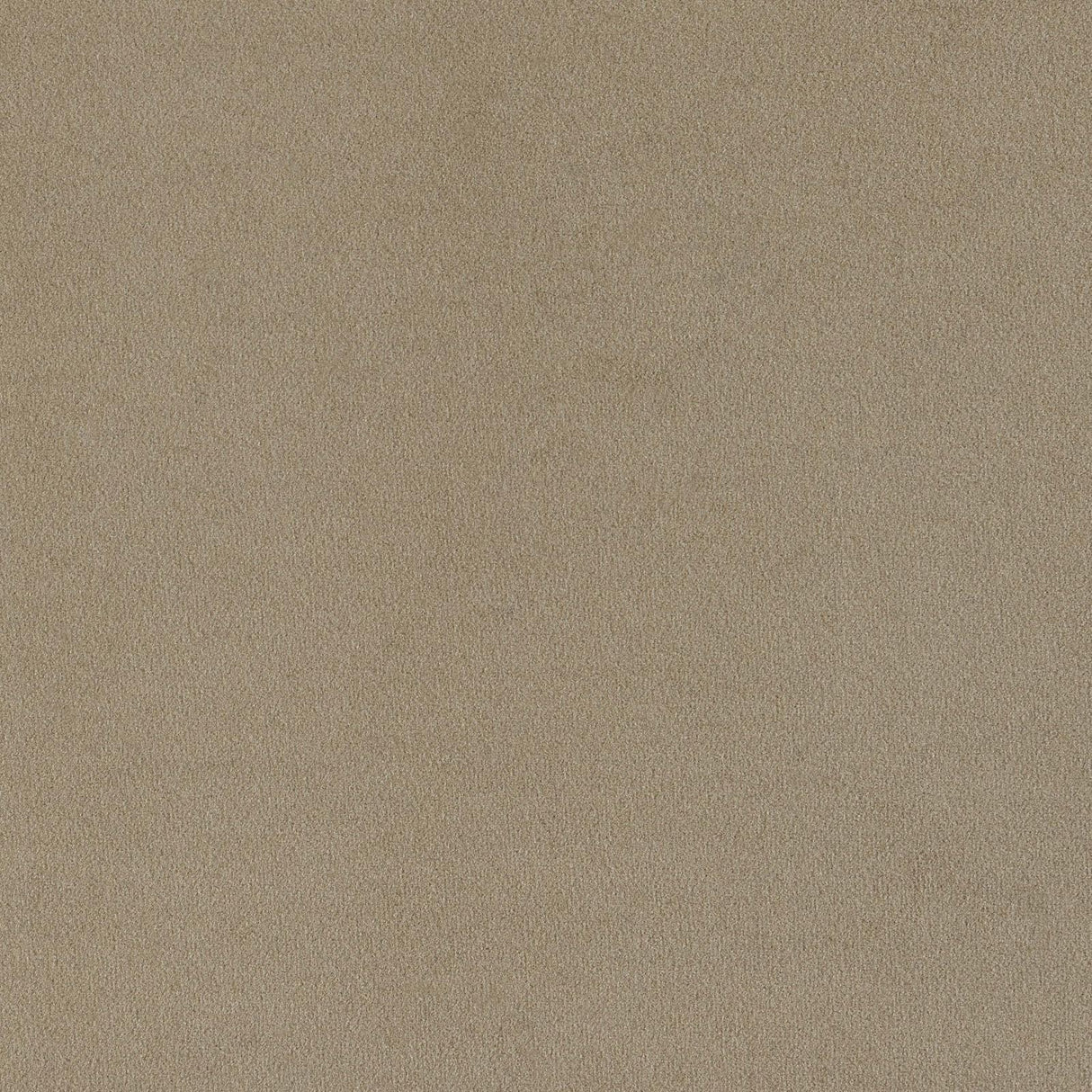 Rainn Latte Upholstered Tight Back Chair