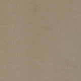 Rainn Latte Upholstered Tight Back Chair