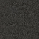 5Z-Comfort Onyx Power Reclining Sofa