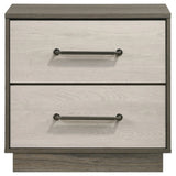 Fenwick Gray Oak 2-Drawer Nightstand