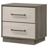 Fenwick Gray Oak 2-Drawer Nightstand