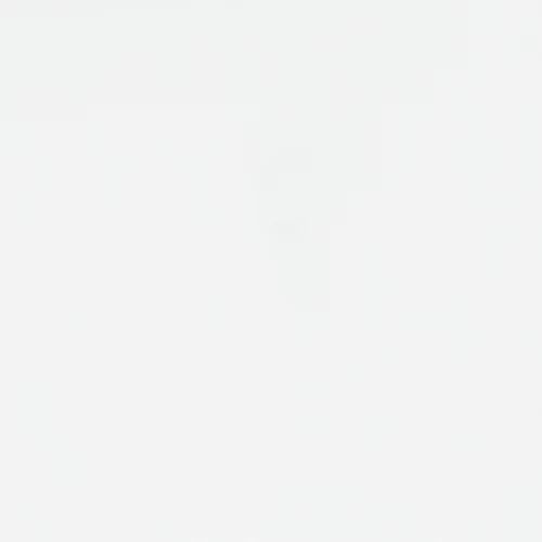 Bostwick Shoals White Queen Panel Bed