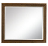Sturlayne Brown Bedroom Mirror (Mirror Only)